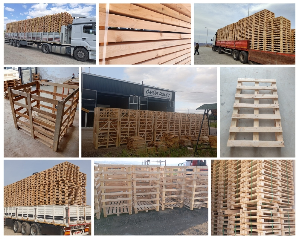 Zuid-Scharwoude Houten Kisten, Europallets Groothandel Kopen